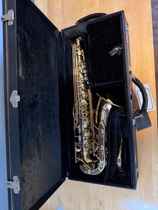 What a Professional Alto Gives You Beyond Better Intonation