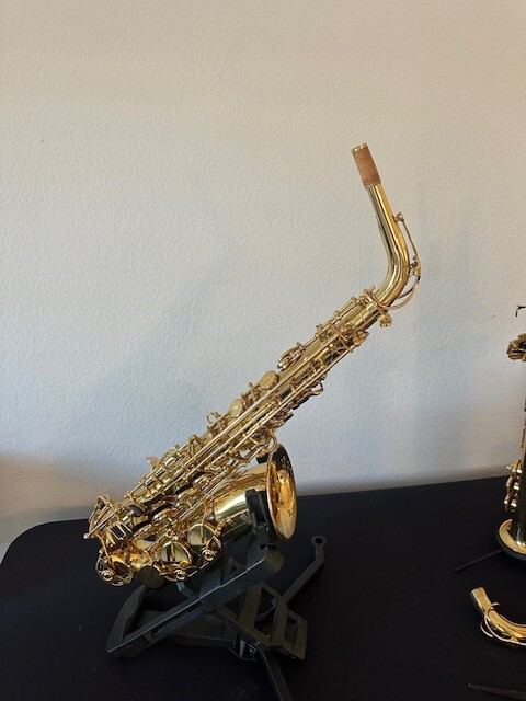 IW 601  Alto Saxophone -  Selmer Signature  Model,  Back to School Special!