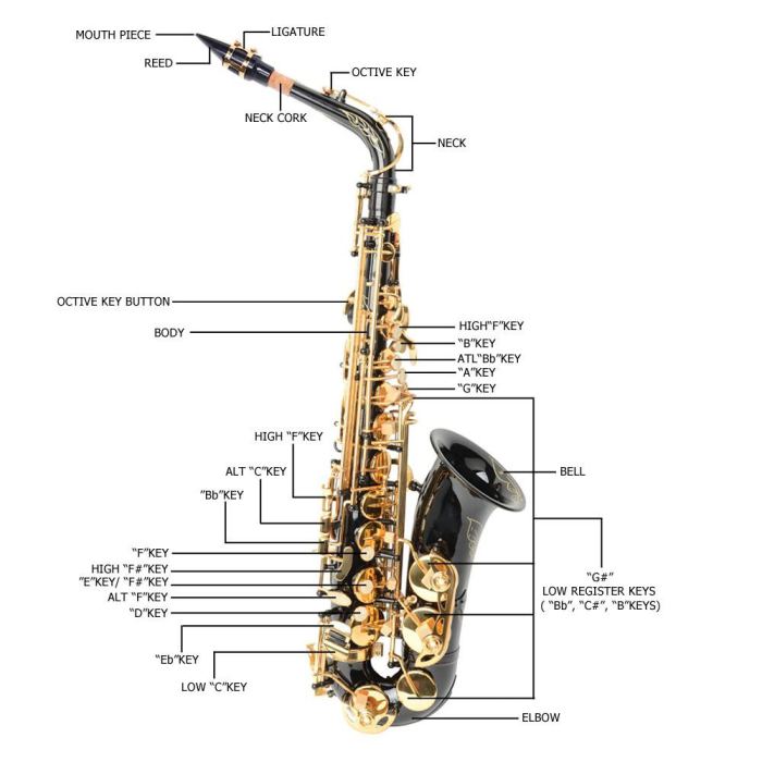 Ktaxon Professional Alto Black Saxophone Sax With Strap Shell Button