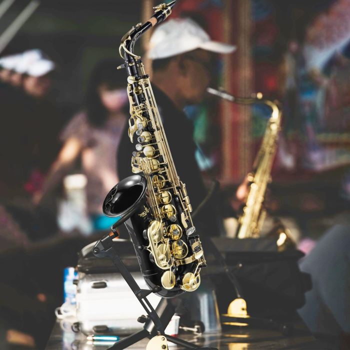 Professional Golden Alto Saxophone E-Flat Sax with Case