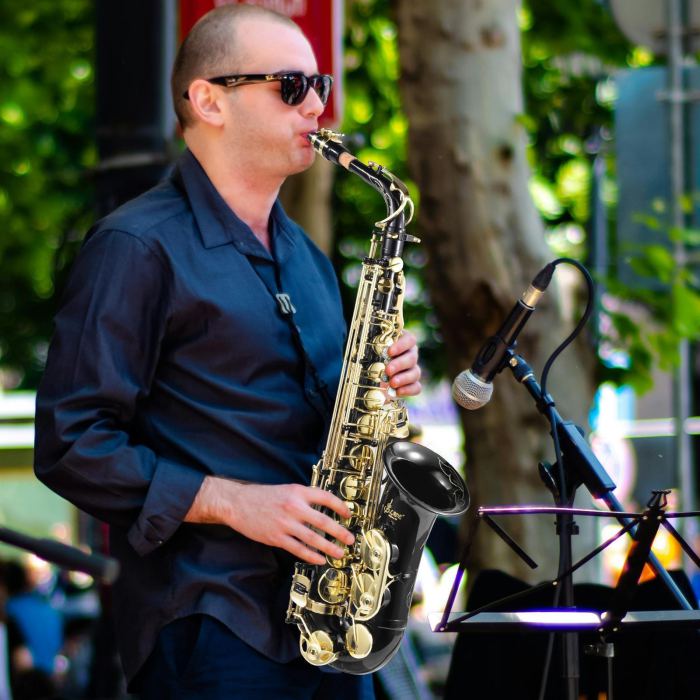 Professional Golden Alto Saxophone E-Flat Sax with Case