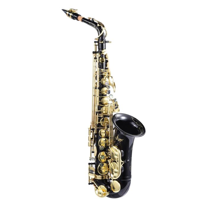 Professional Golden Alto Saxophone E-Flat Sax with Case