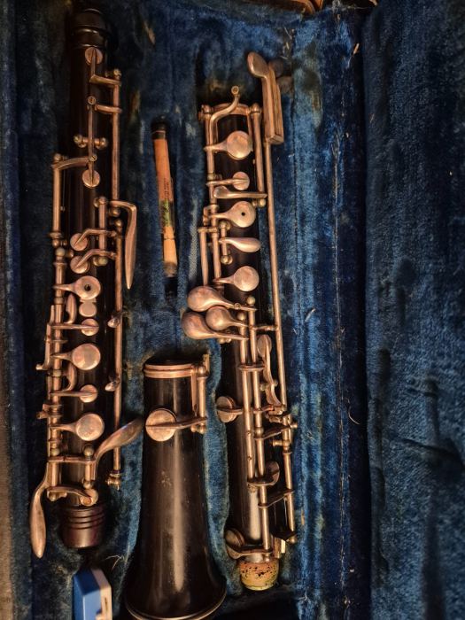 The Case for Learning Oboe as a Second Instrument Later in Life