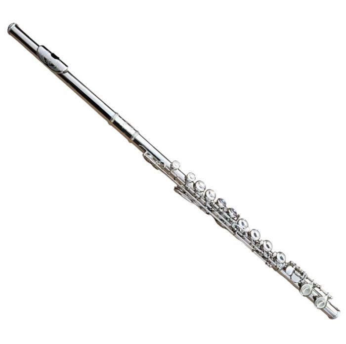 FLUTE-BANKRUPTCY SALE-NEW C STUDENT/INTERMEDIATE/PRO SILVER CONCERT BAND FLUTES