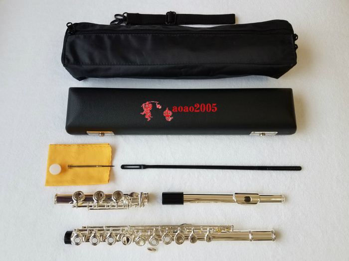 Professional 17 Open Hole Silver Plated Flute E Key B Foot