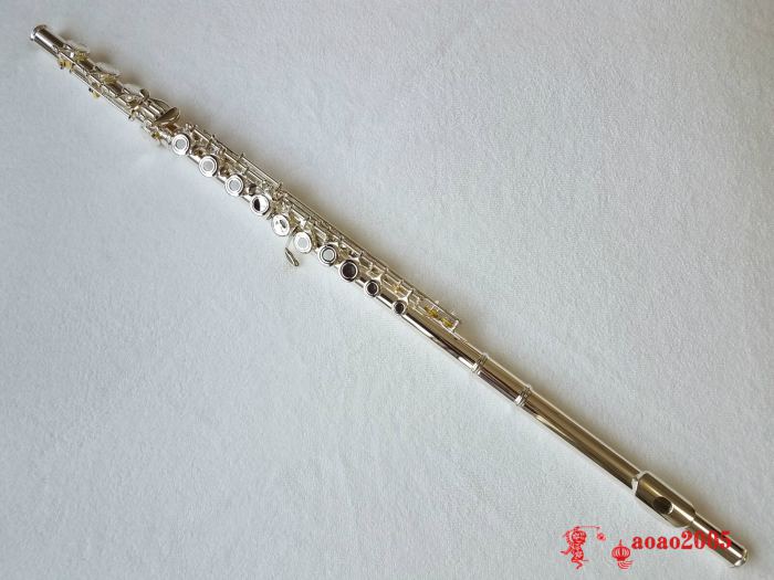 Professional 17 Open Hole Silver Plated Flute E Key B Foot