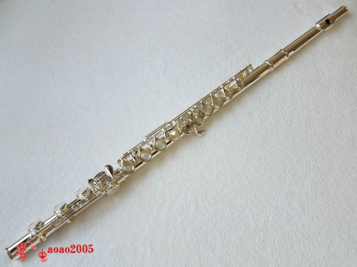 Professional 17 Open Hole Silver Plated Flute E Key B Foot