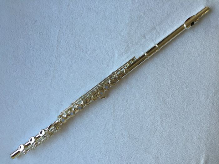 Professional 17 Open Hole Silver Plated Flute E Key B Foot