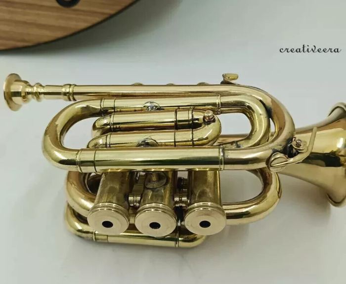Beautiful Vintage Professional Trumpet Brass Polished With Mouthpiece Decorative