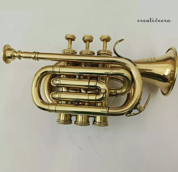 Beautiful Vintage Professional Trumpet Brass Polished With Mouthpiece Decorative