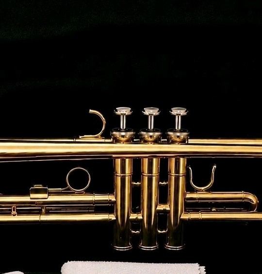 Bb TRUMPET-BANKRUPTCY SALE-INTERMEDIATE/ADVANCED CONCERT SCHOOL BAND TRUMPETS