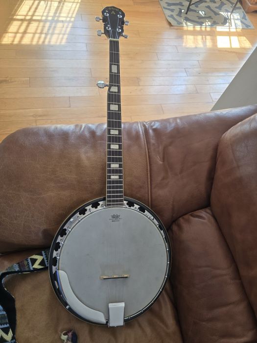 Arbor 5-String Closed Back Banjo Polished Brown/Black w/ Bag Strap Book