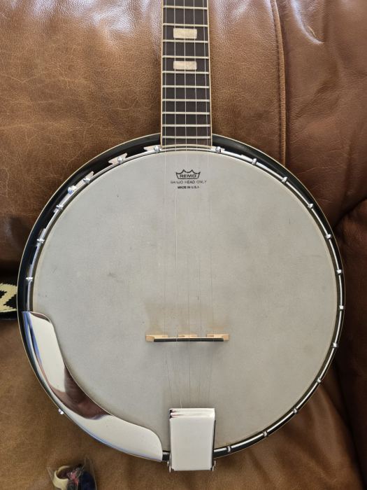 Arbor 5-String Closed Back Banjo Polished Brown/Black w/ Bag Strap Book