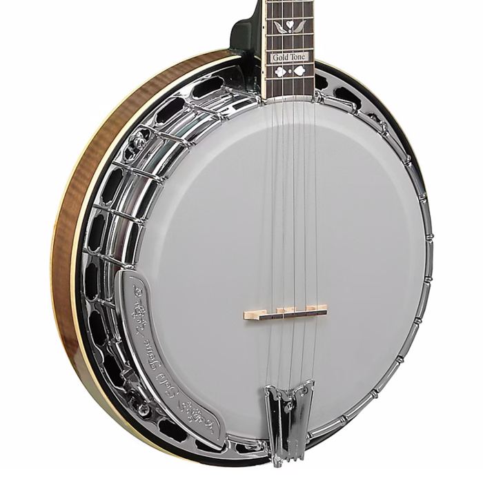 Gold Tone OB-250AT Professional Archtop Bluegrass Banjo - Open Box