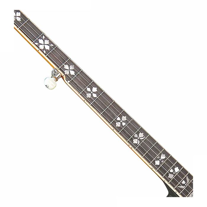 Gold Tone OB-250AT Professional Archtop Bluegrass Banjo - Open Box