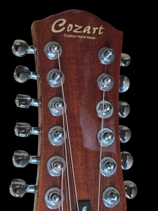 MAPLE FLAMED 12 STRING FULL-SIZE ACOUSTIC/ELECTRIC DOBRO RESONATOR GUITAR