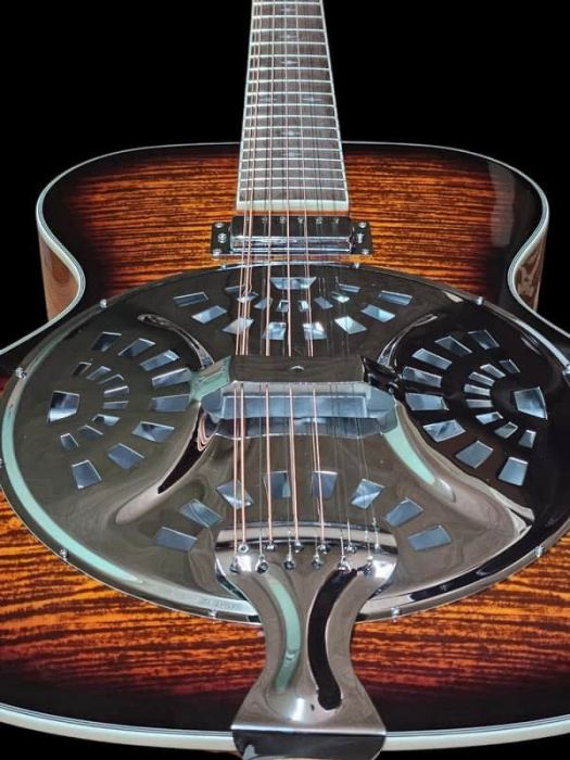 New 12 String Acoustic/Electric Resonator Guitar-Beautiful Flame Top-Full-Size