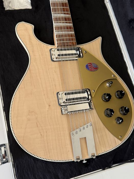 Rickenbacker 660 12 String