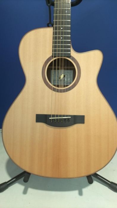 Morris S-101M Daisuke Minamizawa Signature All Solid Fingerstyle Guitar Case