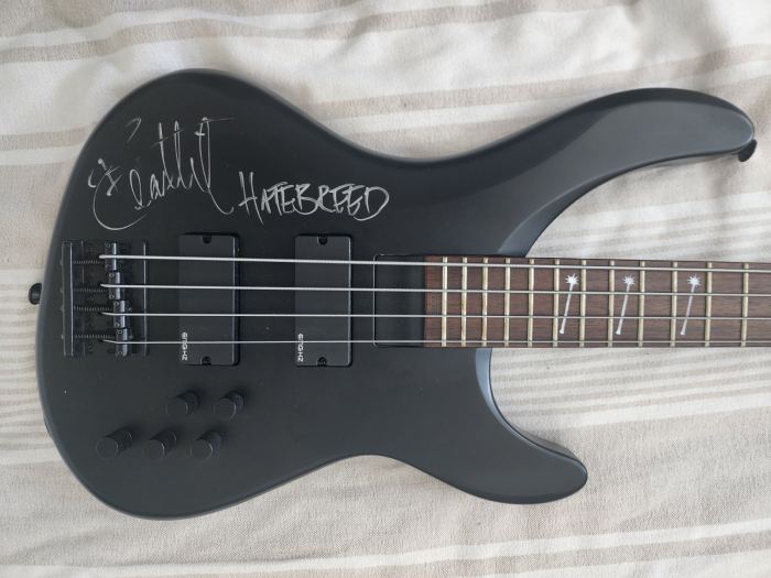 Do Signature Bass Guitars Actually Fit Different Playing Styles?