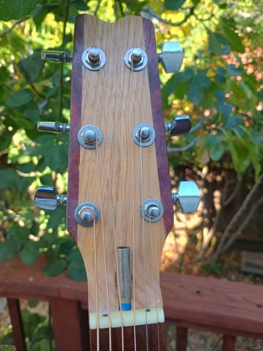Handmade Luthier Dreadnought Guitar, unusual, solid woods, playing great!
