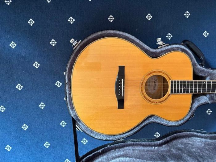 Eastman AC-610 All-Solid Wood Acoustic Guitar w/ Hard Case Excellent