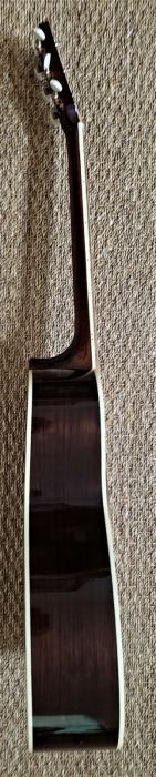 Peter Robson - Luthier Built Parlor Guitar