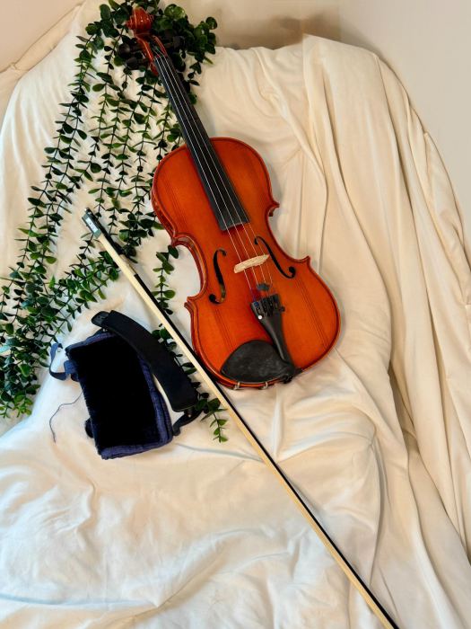 Samuel Eastman Model VL80 4/4 Full Size Violin Outfit - Hard Case, Bow & Rest