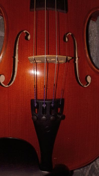 Aberto Vitali 4/4 Violin Outfit - excellent condition (from Schmidt's Music)