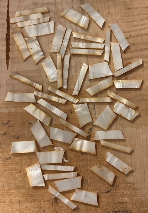 Vintage Gibson Les Paul Pearloid Cellulose Nitrate Trapezoid Fretboard Inlays