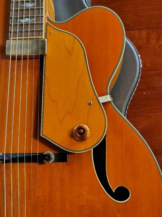 Washburn J-10 Orleans Jazz Archtop Guitar Rare with Hard Case
