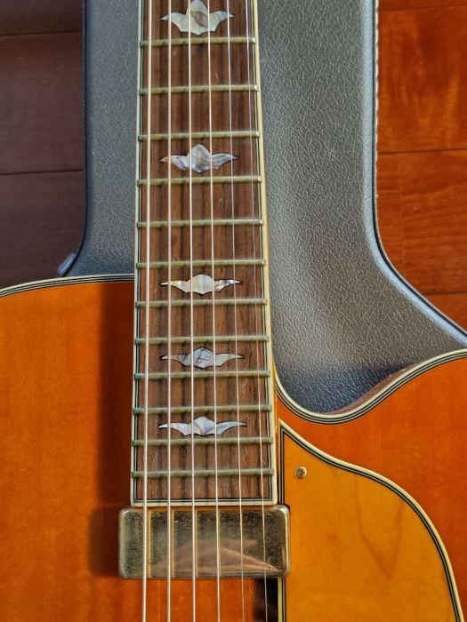 Washburn J-10 Orleans Jazz Archtop Guitar Rare with Hard Case
